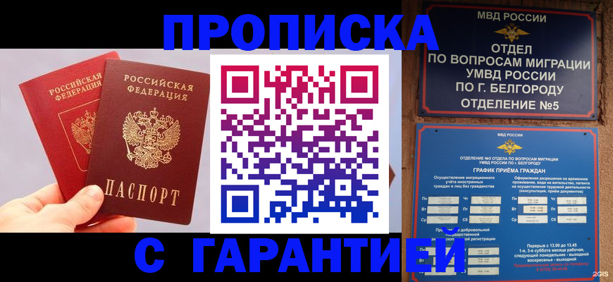 прописка 2025 в Козловке